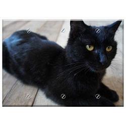 Triple Blank Wall Plate Cover - The Cat Is Black Cats Pet Yellow-Eyed Cat
