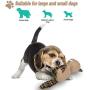 Pokeling Dog Toys, Dog Squeak Toys, Dog Stuffed Animals Toy, Interactive Toys for Chewers, Chewing and Durable Toys for Puppy Dogs and Medium Dogs, Hide and Seek Activity for Pets, Beaver Dog Toy