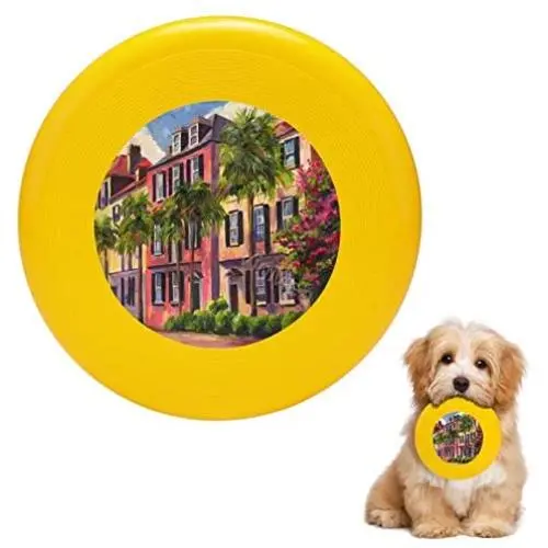 Pet Frisbee Flying Disc Dog Toy - Multifunction Rainbow Row Charleston Sc Jeff Pittman Pet Frisbee Flying Disc Dog Toy - Multifunction Rainbow Row Charleston Sc Jeff Pittman