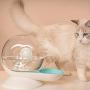 Rxan Cat Water Fountain, 2.8L Snails Bubble Automatic Water Bowl Fountain, Large Drinking Bowl Cat Drink No Electricity