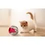 Kruuse Catrine Catmosphere Treat Ball Kruuse Catrine Catmosphere Treat Ball