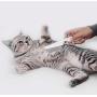 Pet Comb for Dog/Cat/Small Pets…