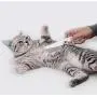 Pet Comb for Dog/Cat/Small Pets… Pet Comb for Dog/Cat/Small Pets…