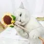 Sunflower Cat Funny Teaser,Flower Crochet Knitted Puppy Interactive Toy,Kitten Catcher Exerciser Chewing Stick Wooden Long Pole Pet Playing Supplies with Bell Sunflower Cat Funny Teaser,Flower Crochet Knitted Puppy Interactive Toy,Kitten Catcher Exerciser Chewing Stick Wooden Long Pole Pet Playing Supplies with Bell