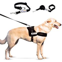 Padded Dog Harness Set: No More Struggling! Easy & Full Control With a Durable No-Pull Harness, Comfortable for Your Pet, Small to X-Large. Reflective & Washable. Includes a Leash and a Car Seat-Belt