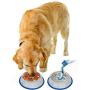 Set of 2 Etched Stainless Steel Dog Bowls, Easy to Clean, Bacteria & Rust Resistant, with Non-Skid No-Tip Silicone Ring, Feeding Bowls for Dogs (2 Pak / 32oz Each Bowl)