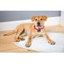 Hartz Home Protection Unscented Odor Eliminating Gel Dog Pads - 100 Count - 3270014938 Hartz Home Protection Unscented Odor Eliminating Gel Dog Pads - 100 Count - 3270014938