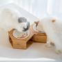Selling Like HoTcAkEs Guitar- Shaped Cat Scratcher and House Decoration and Hexagonal Pet Feeders with Ceramic Bowls