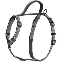 The Company of Animals - Halti Walking Harness