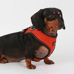 Puppia Trek Snugfit Harness E Pet-Vest-Harnesses