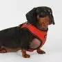 Puppia Trek Snugfit Harness E Pet-Vest-Harnesses Puppia Trek Snugfit Harness E Pet-Vest-Harnesses