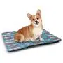 DayDayFun Narwhal Pet Mat for Crate Underwater Life Themed Whale and Bird Feather Illustration Colorful Design Bite-Resistant Pet Mat Multicolor