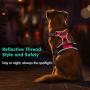 Eagloo Dog Harness No Pull, Walking Pet Harness with 2 Metal Rings and Handle Adjustable Reflective Breathable Oxford Soft Vest Easy Control Front Clip for Small Medium Large Dogs