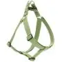 LupinePet Eco 1'' Moss for Medium to Large Dogs LupinePet Eco 1'' Moss for Medium to Large Dogs