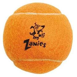 Zanies Puppy Pride Tennis Balls for Dogs, 6-Pack – 2.5-Inch Diameter Tennis Balls Match the Rainbow Pride Flag Colors