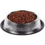 King International Stainless Steel Hammered Dog Bowls with Anti-Skid Rubber Base Set of 3- Small (16 Oz) Medium (24 Oz) Large (32 Oz)- Pet Feeding Bowl for Dogs, Puppy Cat and Kitten King International Stainless Steel Hammered Dog Bowls with Anti-Skid Rubber Base Set of 3- Small (16 Oz) Medium (24 Oz) Large (32 Oz)- Pet Feeding Bowl for Dogs, Puppy Cat and Kitten