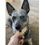 Perfect Pet Chews - Deer Antler Dog Chew (X-Large - Dog Weight 70-100 Lbs) and Large Elk Antler Burr Bundle
