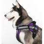 Dogline Vest Harness for Dogs and 2 Removable Adopt Me Patches, X-Large/36 to 46'', Purple