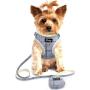 Forestpaw Cute Harness for Small Dogs,Escape Proof Cat Harness and Leash Set,Soft No Pull Dog Harness for Walking Small Dogs