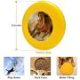 Pet Frisbee Flying Disc Dog Toy - Multifunction Horse1 Arthur Braginsky