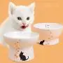 kathson Raised Cat Food Water Bowl Set Pet Ceramic Feeder Bowls Protect Cats Spine Stress Free, Backflow Prevention,Dishwasher kathson Raised Cat Food Water Bowl Set Pet Ceramic Feeder Bowls Protect Cats Spine Stress Free, Backflow Prevention,Dishwasher