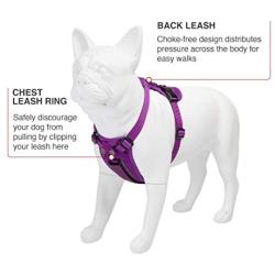 Voyager Freestyle 4-in-1 Dog Harness - Patent Pending Adjustable Webbing Harness with Removable Padding for Small to Large Dogs by Best Pet Supplies (Black, X-Small)