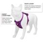 Voyager Freestyle 4-in-1 Dog Harness - Patent Pending Adjustable Webbing Harness with Removable Padding for Small to Large Dogs by Best Pet Supplies (Black, X-Small)