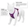 Voyager Freestyle 4-in-1 Dog Harness - Patent Pending Adjustable Webbing Harness with Removable Padding for Small to Large Dogs by Best Pet Supplies (Black, X-Small) Voyager Freestyle 4-in-1 Dog Harness - Patent Pending Adjustable Webbing Harness with Removable Padding for Small to Large Dogs by Best Pet Supplies (Black, X-Small)