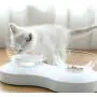 Luck Dawn Double Dog Cat Bowls with Raised Stand, Adjustable 0-20 Degree Tilted Design Neck Guard Stand Raised Elevated Pet Food Water Feeder Bowl for Cats or Small Dogs Luck Dawn Double Dog Cat Bowls with Raised Stand, Adjustable 0-20 Degree Tilted Design Neck Guard Stand Raised Elevated Pet Food Water Feeder Bowl for Cats or Small Dogs