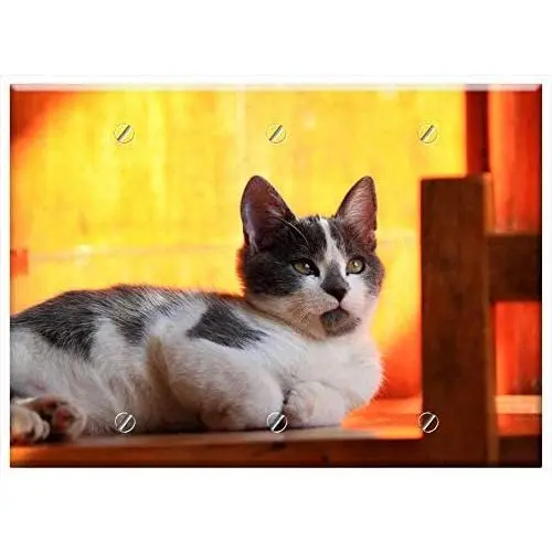 Triple Blank Wall Plate Cover - Cat Feline Cats Siamese Kitten Cat Wood Triple Blank Wall Plate Cover - Cat Feline Cats Siamese Kitten Cat Wood
