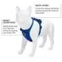 Voyager Freestyle 4-in-1 Dog Harness - Patent Pending Adjustable Webbing Harness with Removable Padding for Small to Large Dogs by Best Pet Supplies (Black, X-Small) Voyager Freestyle 4-in-1 Dog Harness - Patent Pending Adjustable Webbing Harness with Removable Padding for Small to Large Dogs by Best Pet Supplies (Black, X-Small)
