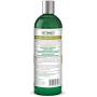 Vets Best Medicated Oatmeal Shampoo for Dogs | Soothes Dog Dry Skin | Cleans, Moisturizes, and Conditions Skin and Coat | 16 Ounces