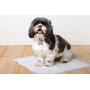 Hartz Home Protection Lavender Scented Odor Eliminating Gel Dog Pads - 50 Count