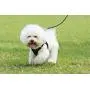 Voyager Step-in Plush Dog Harness - Soft Plush, Step in Vest Harness for Small and Medium Dogs by Best Pet Supplies Voyager Step-in Plush Dog Harness - Soft Plush, Step in Vest Harness for Small and Medium Dogs by Best Pet Supplies