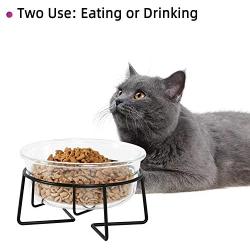 MUZITY Glass Raised Cat Small Dog Dishes, 20 Ounces Pet Food or Water Bowls with Metal Stand, Transparent