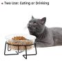 MUZITY Glass Raised Cat Small Dog Dishes, 20 Ounces Pet Food or Water Bowls with Metal Stand, Transparent