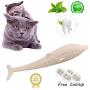 Pet Cat Fish Shape Toothbrush with Catnip Toys，New Interactive Tooth Cleaning Toy for Kitten Kitty，Multi-Function Food Grade Silicone Cat Molar Stick，Get Rid of Bad Breath & Keep Teeth Healthy