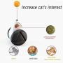 Anosiar Interactive cat Toys, 180 Degree Self Rotating Ball Car Toy with Catnip, Cat Wand Chaser Trainning Toys for Kitten/Cats Toys, Stimulate Attractive Hunting Instinct for Your Kitty