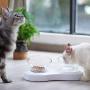 ELSPET Raised Cat Dog Bowl/Cat Dish/Elevated Cat Food Water Bowl, 0°/20° Tilted Transparent Raised Pet Feeding Bowl with Anti-Slip Base for Cat and Small Dog