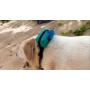 Doggy Dew Dog Poop Bag Dispenser with Decomposable Biodegradable Pet Waste Pick up Bags