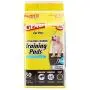 Glad for Pets Black Charcoal Puppy Pads | Puppy Potty Training Pads That ABSORB & NEUTRALIZE Urine Instantly | New & Improved Quality, 50 count Glad for Pets Black Charcoal Puppy Pads | Puppy Potty Training Pads That ABSORB & NEUTRALIZE Urine Instantly | New & Improved Quality, 50 count
