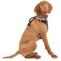 Reddy Black Dog Harness, XX-Large/3X-Large Reddy Black Dog Harness, XX-Large/3X-Large