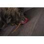 SmartyKat, Crazy Cruiser, Electronic Motion Cat Toy, Interactive Rumble Bug, Vibrates, Lights Up, Batteries Included