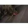 SmartyKat, Crazy Cruiser, Electronic Motion Cat Toy, Interactive Rumble Bug, Vibrates, Lights Up, Batteries Included SmartyKat, Crazy Cruiser, Electronic Motion Cat Toy, Interactive Rumble Bug, Vibrates, Lights Up, Batteries Included