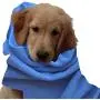 Microfiber Pros Dog Towels – Pack of 2 in Large 20'' x 40'' Size – Hypoallergenic and Chemical Free – Ultra-Absorbent for Bathing, Cleaning, & Grooming – Machine Washable Microfiber Pros Dog Towels – Pack of 2 in Large 20'' x 40'' Size – Hypoallergenic and Chemical Free – Ultra-Absorbent for Bathing, Cleaning, & Grooming – Machine Washable