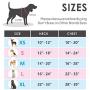 PHOEPET No Pull Dog Harness Medium Reflective Front Clip Vest with Handle,Adjustable 2 Metal Rings 3 Buckles[Easy to Put on & Take Off](M, Red)