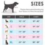 PHOEPET No Pull Dog Harness Medium Reflective Front Clip Vest with Handle,Adjustable 2 Metal Rings 3 Buckles[Easy to Put on & Take Off](M, Red)