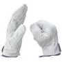 XIONGG Animal Handling Gloves Bite Proof, 8.6 Inch Durable Bite Resistant Gloves for Bathing, Grooming, Handling Dog Cat Bird Snake XIONGG Animal Handling Gloves Bite Proof, 8.6 Inch Durable Bite Resistant Gloves for Bathing, Grooming, Handling Dog Cat Bird Snake
