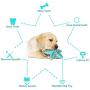 KJDJR Dog Toothbrush Stick, Starfish Dog Chew Toys Treat Dispensing Dog Toothbrush Toys for Medium Large Breed Interactive Training and Fun (Turquoise)