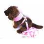 KUDO PETS Soft Mesh Dog Harness with Leash - Multiple Sizes & Colors